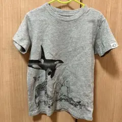 ユニクロ UT KIDS 120cm