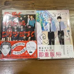 BL漫画 2冊セット