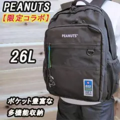 リュック メンズ 大容量 リュック レディース 収納 PEANUTS スヌーピ