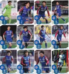 ヴァンフォーレ甲府 2025 オフィシャルカード 12枚 ①