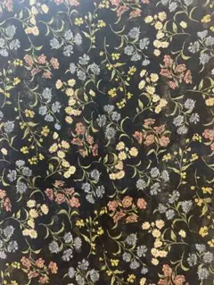 Item thumbnail for item 4ddc4fe2-37b4-4673-84e7-ac52b9e88513