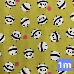 綿生地　パンダ柄　イエロー　1m
