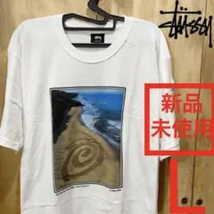 【新品未使用】stussy HERETODAYGONE TOMORROW TEE