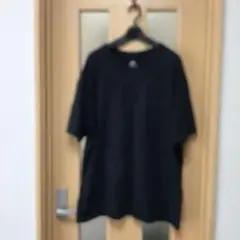 ナイキ　Tシャツ 中古品　サイズ XL