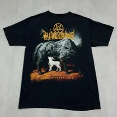 ザイ・アート・イズ・マーダー　アルバムジャケット　半袖Tシャツ　古着　ブラック黒