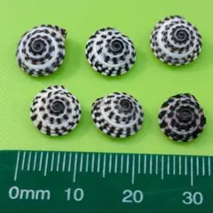 Item thumbnail for item fc05a88f-a828-4cea-800f-b46711e6ba6b