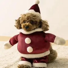 Item thumbnail for item 438460e5-5d01-4f84-916d-a53d3c9a1efb