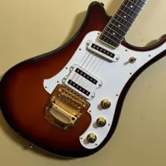 YAMAHA ヤマハ sgv300 ソフトケース トレモロアームストラップ