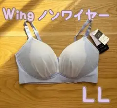 Item thumbnail for item 81bbb3dc-3ee6-4b5f-b5dd-d52d83cde5c9