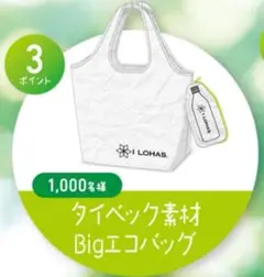 いろはす タイベック素材 Big エコバッグ