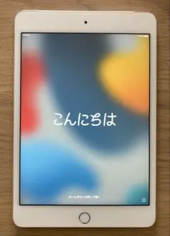 iPad mini 4 （アイパッド ミニ 4） 64GB セルラーモデル
