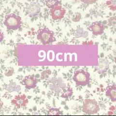 リバティ　アロナ　05P