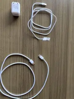 USB-Lightningケーブルと充電器セット