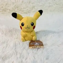 ポケモンセンター　ぬいぐるみ　fit ピカチュウ