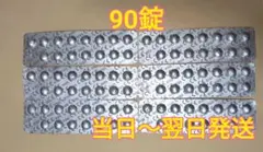 コンセプトワンステップ 中和剤90錠