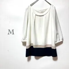 Item thumbnail for item 19b829ed-0152-42d9-b256-dbe361f54a76