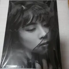ZARD　写真　A4サイズ　④　MONOCHROME COLORS