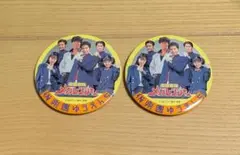 電磁戦隊メガレンジャー　缶バッジ　2個セット