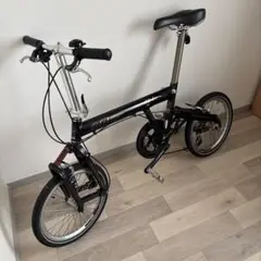 柏市発　r&m社 Bd-1 折りたたみ自転車 バーディ輪行　車中泊サイクリング！ 柏市発 r&m社 Bd-1 折りたたみ自転車 バーディ輪行 車中泊