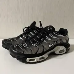 Nike Air Max Plus ブラック/シルバー