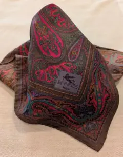 ETRO ペイズリー柄ポケットチーフ ブラウン
