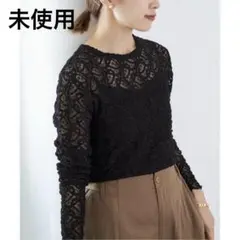 【試着のみ美品】IENA ペーズリーストレッチレースプルオーバー IENA｜《WEB限定/追加5》ペイズリー ストレッチレースプル