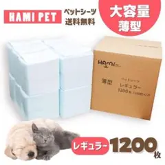 Item thumbnail for item eb642e07-65e5-4a0d-9a73-5cff6b21e859