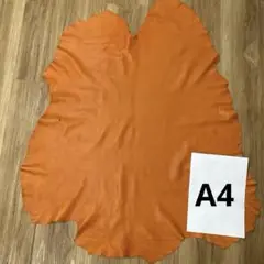 Item thumbnail for item 71d311f7-a108-4eb2-93a5-bf583dad2a92