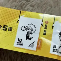 ハイキュー サコッシュ 日向翔陽 烏野 ガチャガチャ トイカプセル
