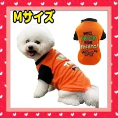 ハロウィンペット用品 (オレンジTorT(Mサイズ)