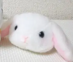 ウサギ型ぬいぐるみ材料 ホワイト