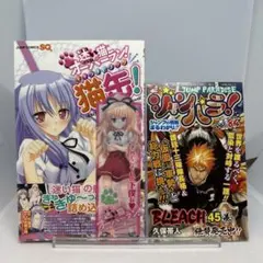 【初版】迷い猫オーバーラン!キャラナビブック猫缶!