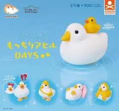 【匿名配送】もっちりアヒルDAYS 全5種 フルコンプセット ガチャ