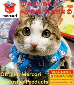 Item thumbnail for item d4a08f56-d8fb-4f97-b151-a5a40c2e157c