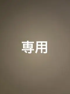 専用ページ