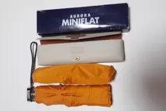 Item thumbnail for item 1415dc50-bcd3-48bd-bc9b-1a086882a1de