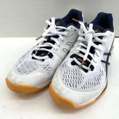 Item thumbnail for item 46171016-470e-4072-b46a-1552ed082968