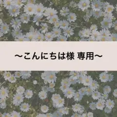 【こんにちは様】たまごっち パラダイス カバー★