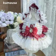 番号2319