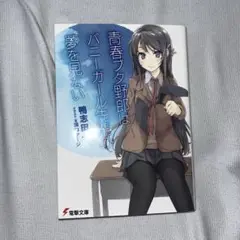 青ブタ　小説