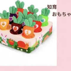 にんじん畑　ノーズワーク　ペット　おやつ探し　トレーニング　知育玩具