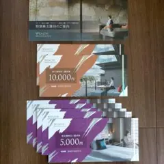 ウェルスマネジメント 株主優待券 4万5000円分