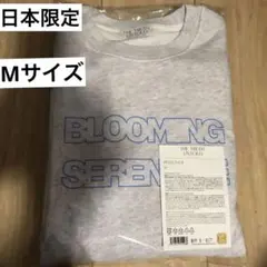 日本限定☆JIMIN展示会グッズ(プルオーバー、トートバッグ) 日本限定☆JIMIN展示会グッズ(プルオーバー、トートバッグ)