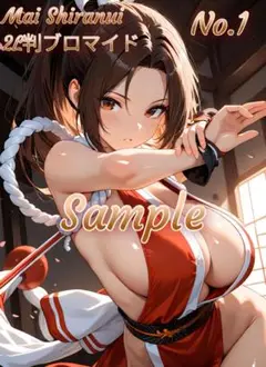 Mai Shiranui【不知火舞】 高画質HQ-各サイズ ブロマイドセット