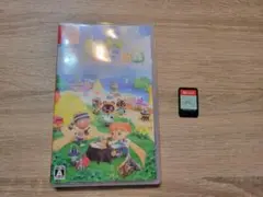 ①あつまれ どうぶつの森 Nintendo Switch