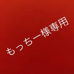 もっちー様専用 ポケモン お箸5本