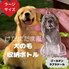 Item thumbnail for item 8ff13d72-fd64-468f-9f95-18b5640ed3e2