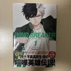 WIND BREAKER1 にいさとる