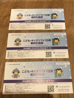 たんばらスキーパーク リフト1日券 2枚セット たんばらスキーパークリフト1日券 2024-2025 3枚セット