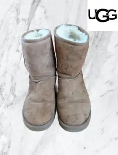 Item thumbnail for item b1b4ded7-5b43-4d12-bd7d-b9040d4b90bc